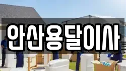 안산용달이사