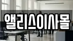 앨리스이사몰