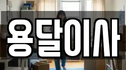 용달이사