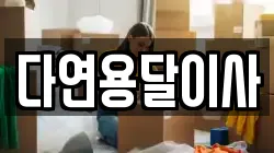 다연용달이사