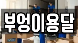 부엉이용달