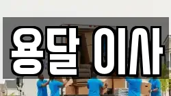 용달 이사