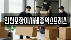 안산포장이사세종익스프레스