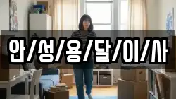 안/성/용/달/이/사