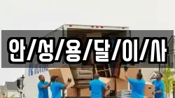 안/성/용/달/이/사