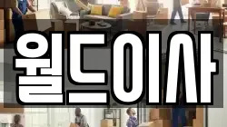 월드이사