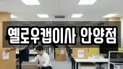 옐로우캡이사 안양점