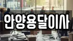 안양용달이사