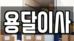용달이사