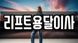리프트용달이사