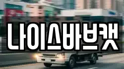 나이스바브캣