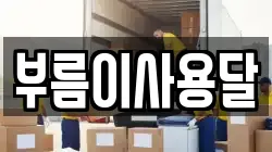 부름이사용달