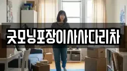 굿모닝포장이사사다리차