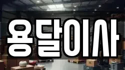 용달이사