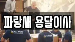 경기도 양평군 양평읍 이사,포장이사,반포장이사,원룸이사,사무실이사,용달이사,전국이사,보관이사