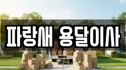 파랑새 용달이사