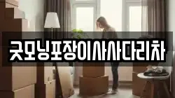 굿모닝포장이사사다리차