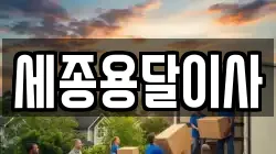 세종용달이사