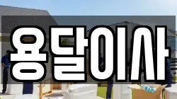 용달이사