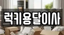 럭키용달이사