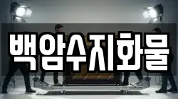 경기도 용인시 처인구 백암면 이사,포장이사,반포장이사,원룸이사,사무실이사,용달이사,전국이사,보관이사