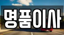 명품이사