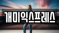 개미익스프레스