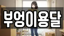 부엉이용달