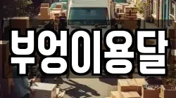 부엉이용달
