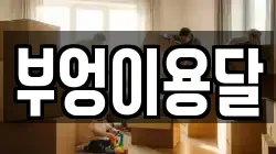 부엉이용달