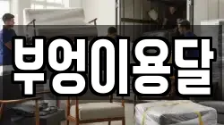 경기도 의왕시 학의동 이사,포장이사,반포장이사,원룸이사,사무실이사,용달이사,전국이사,보관이사