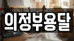 의정부용달