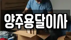 양주용달이사