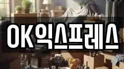 OK익스프레스