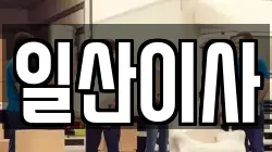 일산이사