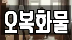 오복화물