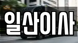 일산이사