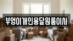 부엉이개인용달원룸이사