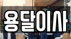 용달이사