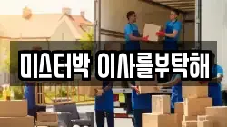 미스터박 이사를부탁해