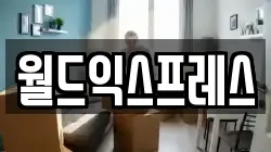 월드익스프레스