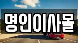 경기도 평택시 신대동 이사,포장이사,반포장이사,원룸이사,사무실이사,용달이사,전국이사,보관이사