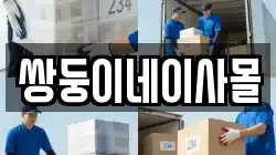 쌍둥이네이사몰