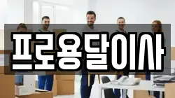프로용달이사