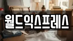 월드익스프레스