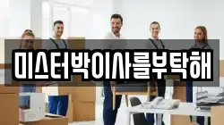 미스터박이사를부탁해