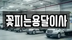 꽃피는용달이사