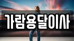 가람용달이사