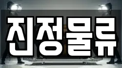 진정물류
