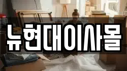 뉴현대이사몰